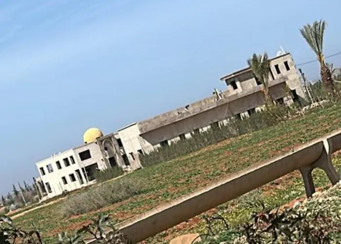 Palmera Dar Zahra