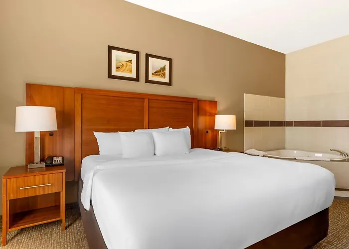 Comfort Inn & Suites Porter Near Indiana Dunes