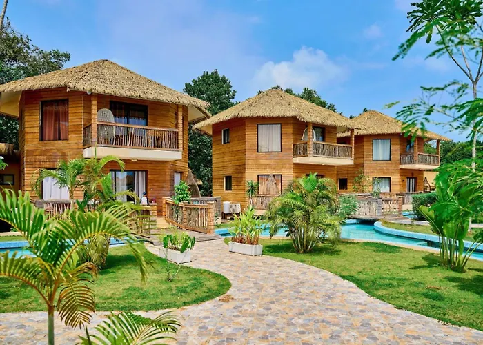 La Baie Des Tortues Luth