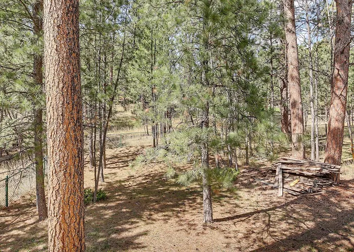 Private Black Hills Home W/ Corral: Horses Welcome