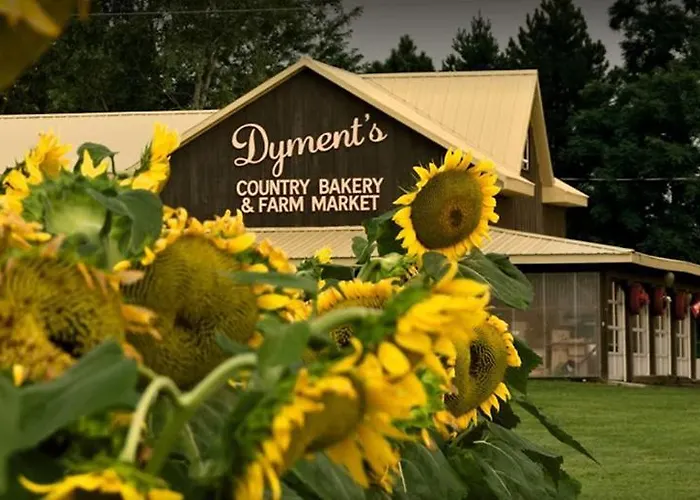 Country Roads Dwelling