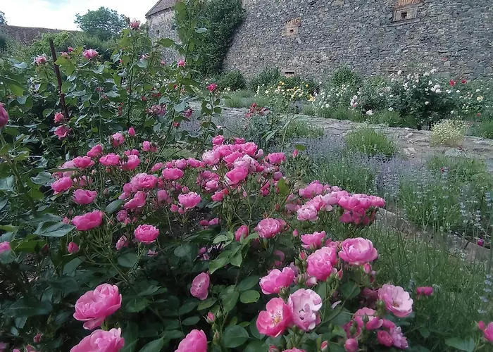 Chateau Trebesice