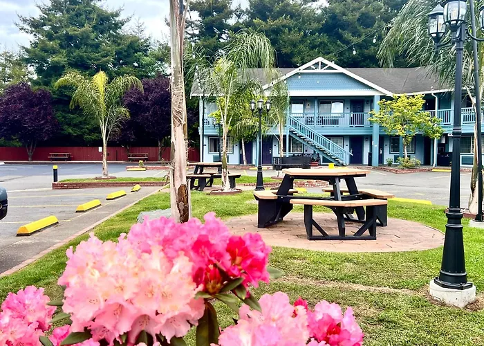 Best Western Country Inn