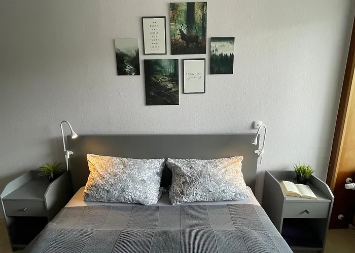 Ferienwohnung in Freudenstadt-Kniebis II