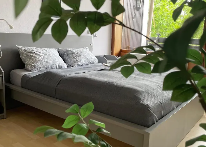 Ferienwohnung in Freudenstadt-Kniebis II
