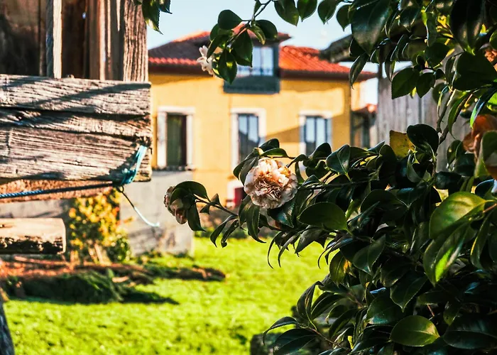 La Casona de Faedo Pensión