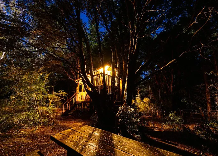 Pucón Volcano Forest SPA