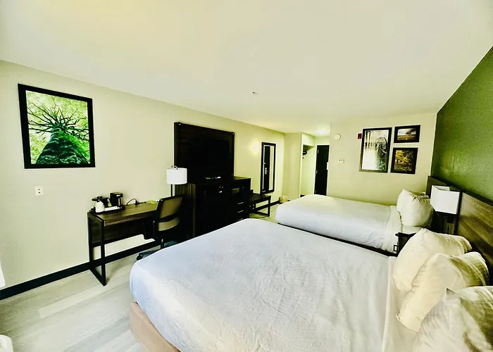 La Quinta By Wyndham Rome