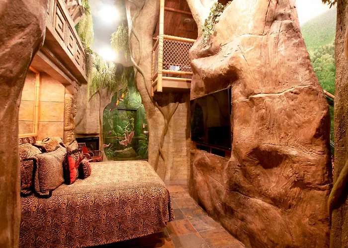 Black Swan Inn Luxurious Theme Rooms
