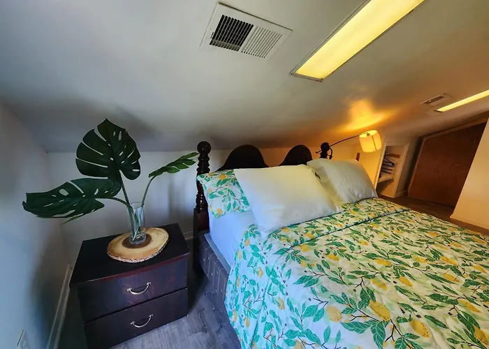 Heavenly Home In New Haven