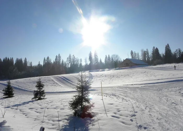 Hotel Restaurant Etoile Des Neiges Piscine Jacuzzi Sauna Massage Salle De Jeux