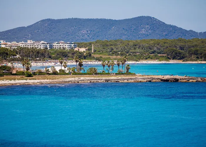 O7 Colombo