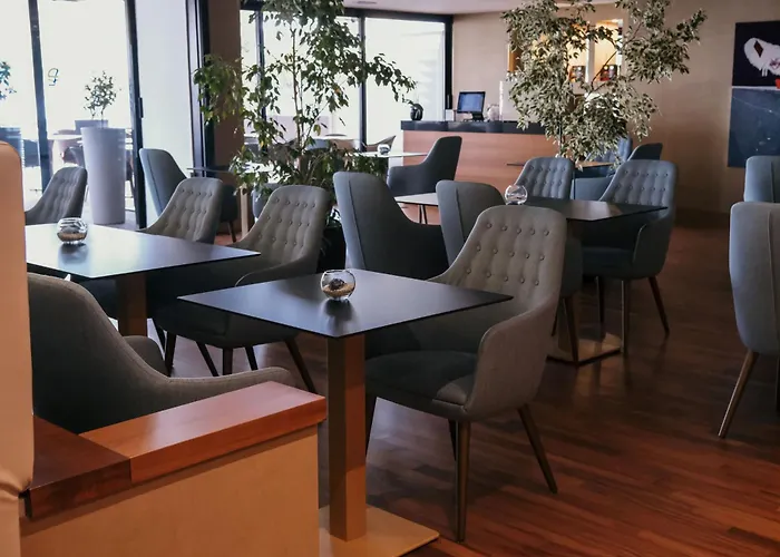 Hotel Salò du Parc