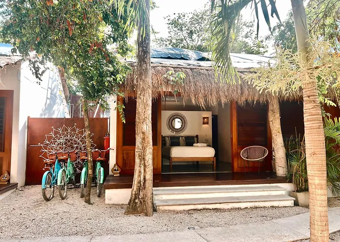 Mimosa Tulum