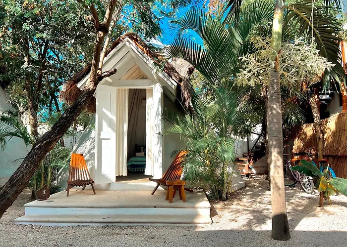 Mimosa Tulum