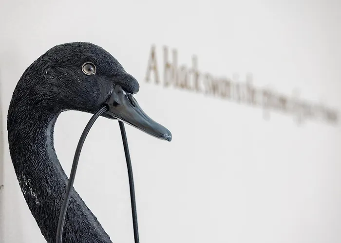 The Black Swan Hotel