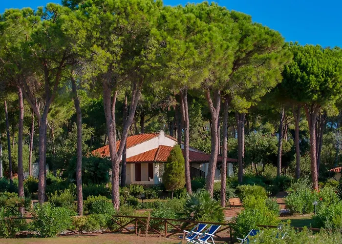 Is Morus Relais