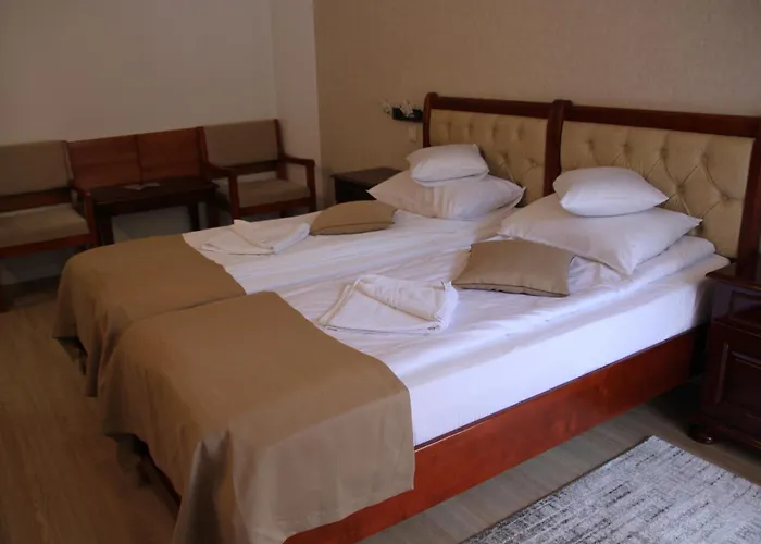 Hotel Nemira