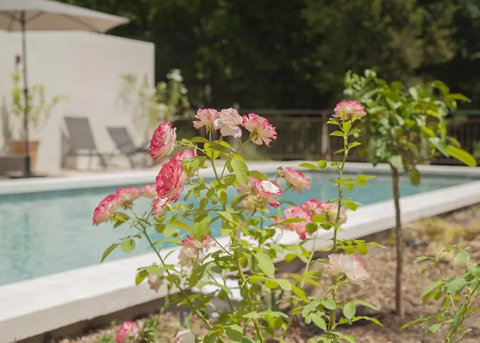 Bed and Breakfast Domaine Cap Rubis à Paradou