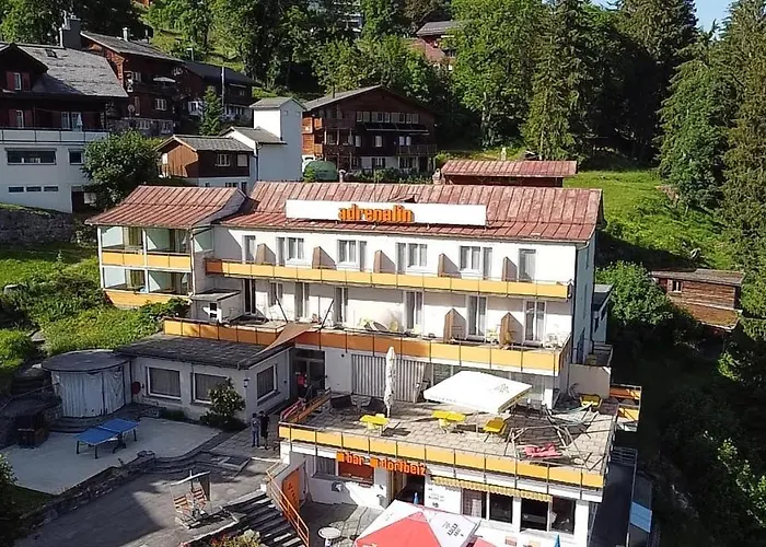 Adrenalin Backpackers Hotel