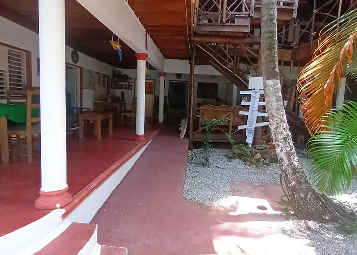 El jardín del coco