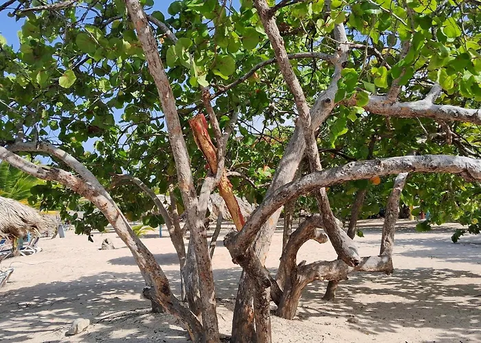 Cortlang Vacation Rentals, Costambar