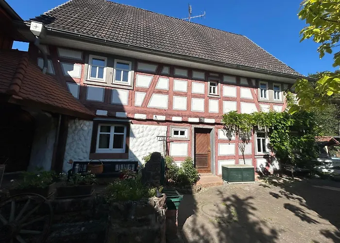 Bergfohlenhof