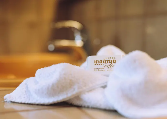 Hotel Madrisa