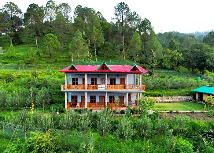 Cortland Jungle Resort