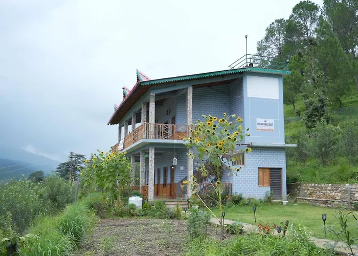 Cortland Jungle Resort