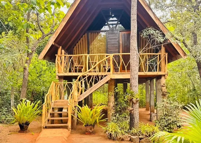 The Mango Garden