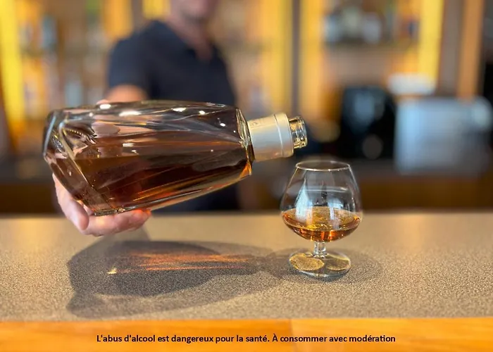 Les Apparts du Valois, Cognac Centre