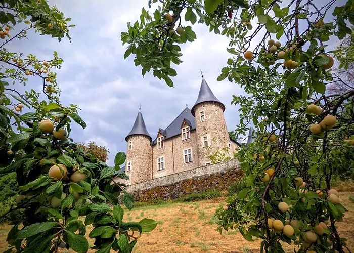 Chateau De Picomtal