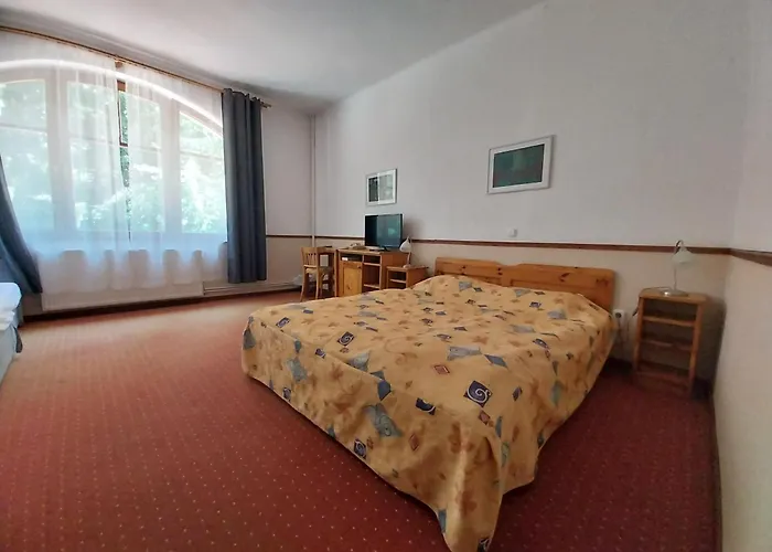 Bakony Hotel