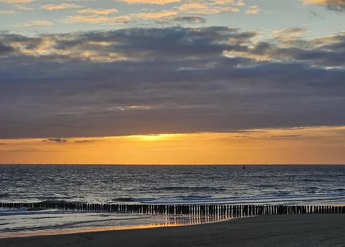 Strandhuisje Dishoek 381
