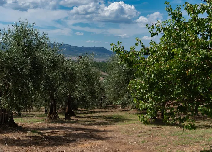 Il Miraggio in Val d'Orcia Relais&Spa