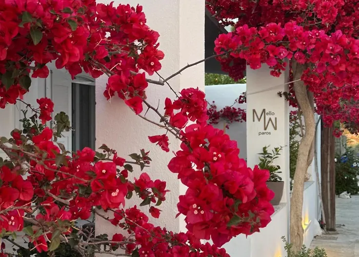 Mellow Paros