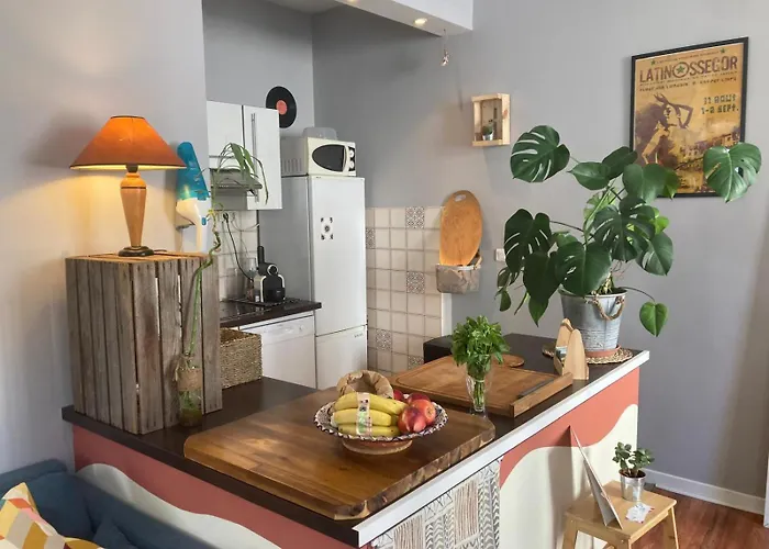 Chez Jige - Bel Appartement A Cote De L'Adour
