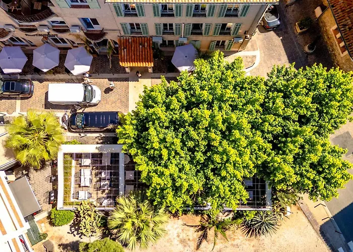 Hotel Les Palmiers