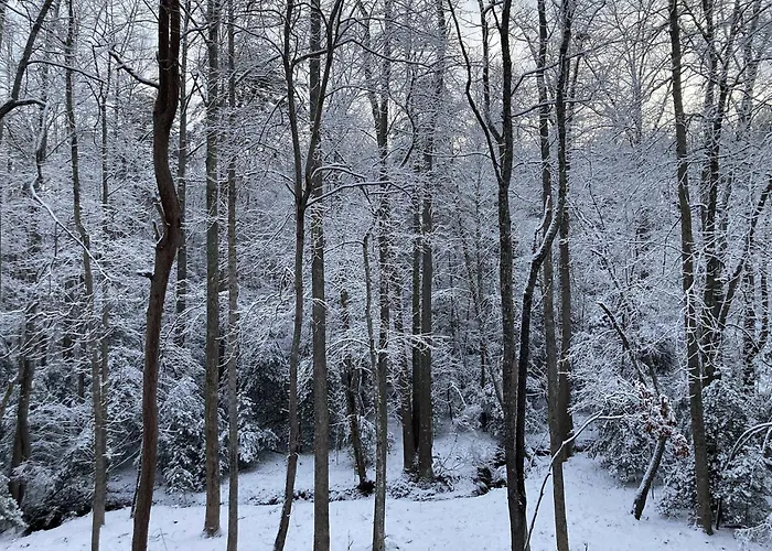 Holly Berry Hill - Walk To Lake Nottely, Unwind In The Hot Tub & Enjoy S'Mores Under The Stars