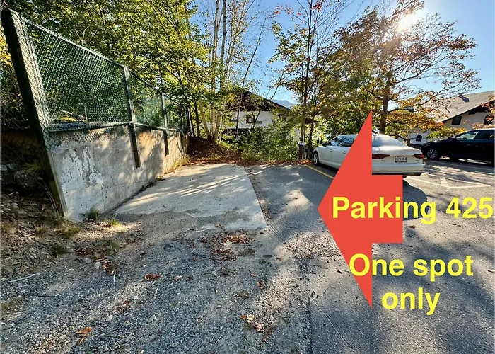 Mountain View Fully Renovated 6-8 People Condo