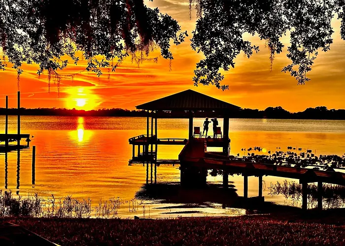 Lakeside Lily Pad