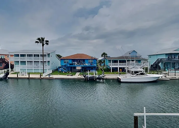Dolphin Paradise