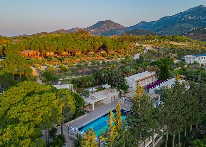 Kairos Valley Wellness&Longevity