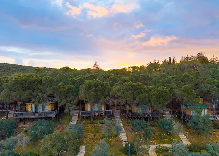 Kairos Valley Wellness & Longevity