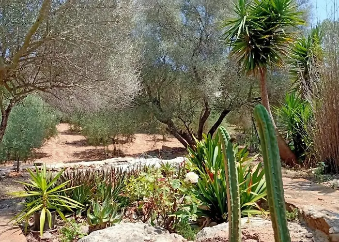 El Antojito