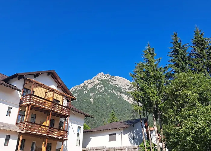 Vila PANORAMIC Busteni