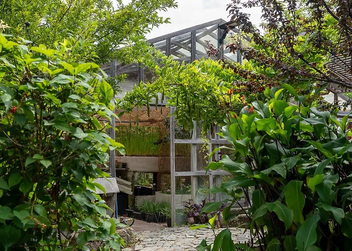 Tinyhouse Hexagonal In Organic Farm