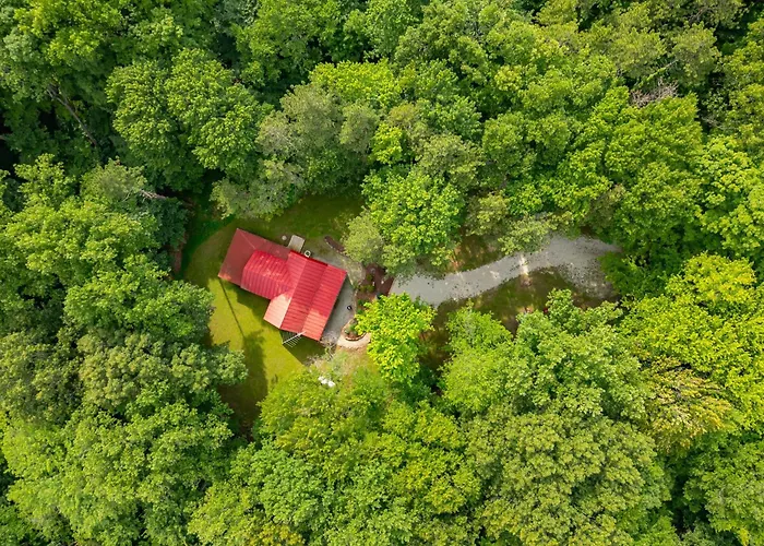 Cabin In The Pines