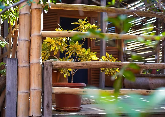 Eco Lodge Mancora